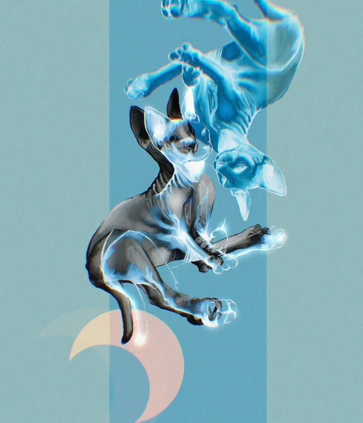 digital artwork of a distorted face in greyscale with a pink background